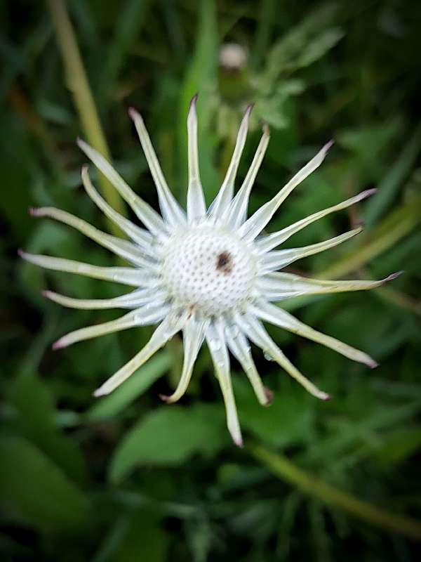 "������" ����� ������  �� PhotoGeek.ru #�����