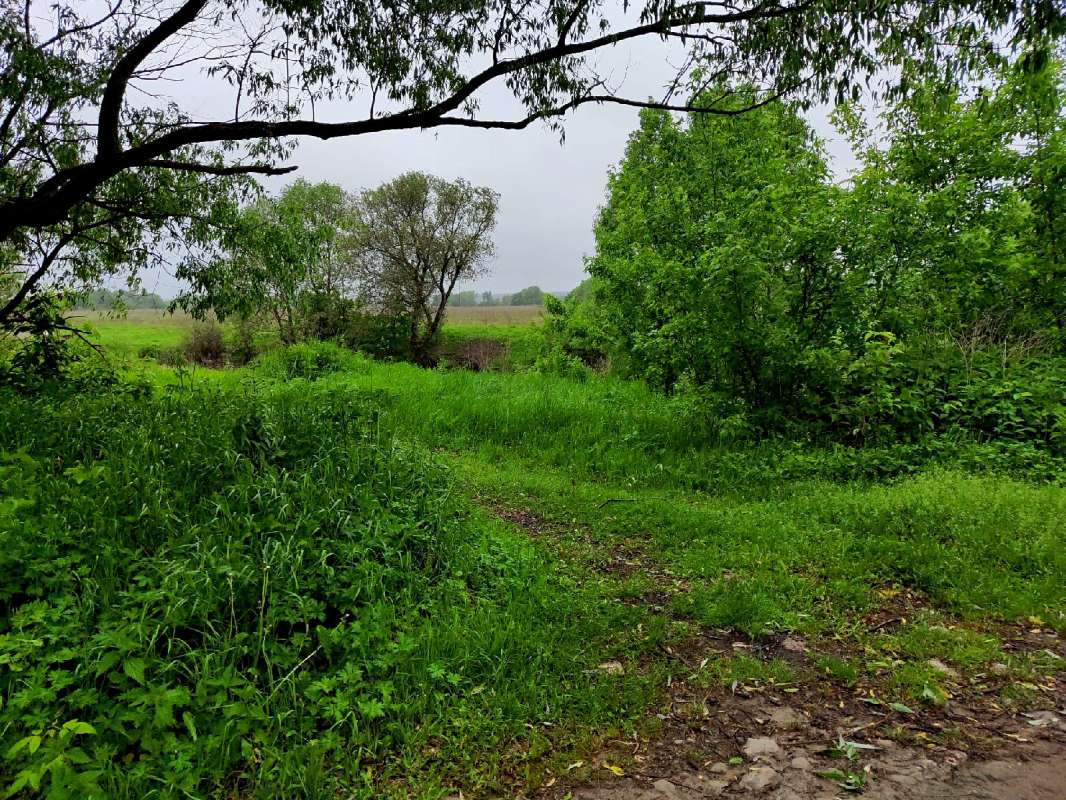 ��������� ���� ����� ������  �� PhotoGeek.ru #������ ��� �������