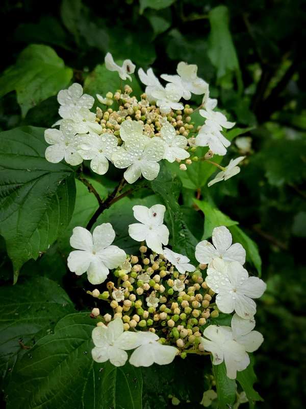 ���� ������ ������� ����� ������  �� PhotoGeek.ru #����� #����� ��������������