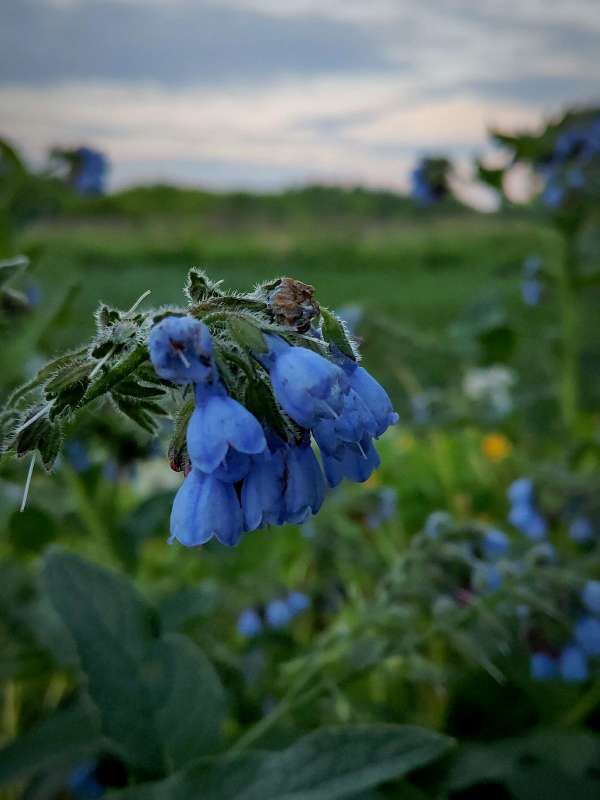 ������ ������� ����� ������  �� PhotoGeek.ru #����� #����� ��������������