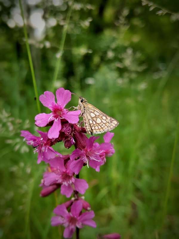 ������� �� ������ ����� ������  �� PhotoGeek.ru #����� #����� ��������������