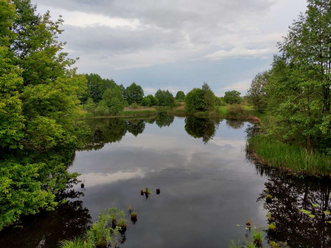 ������� ¸��� ����� ������  �� PhotoGeek.ru #������ ��� �������