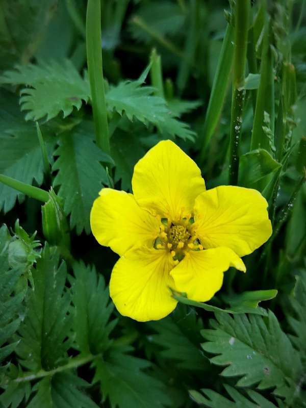 ������� ����� ����� ������  �� PhotoGeek.ru #����� #����� ��������������