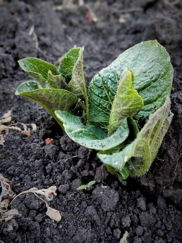 ������ ��������� ����� ������  �� PhotoGeek.ru #����� #����� ��������������