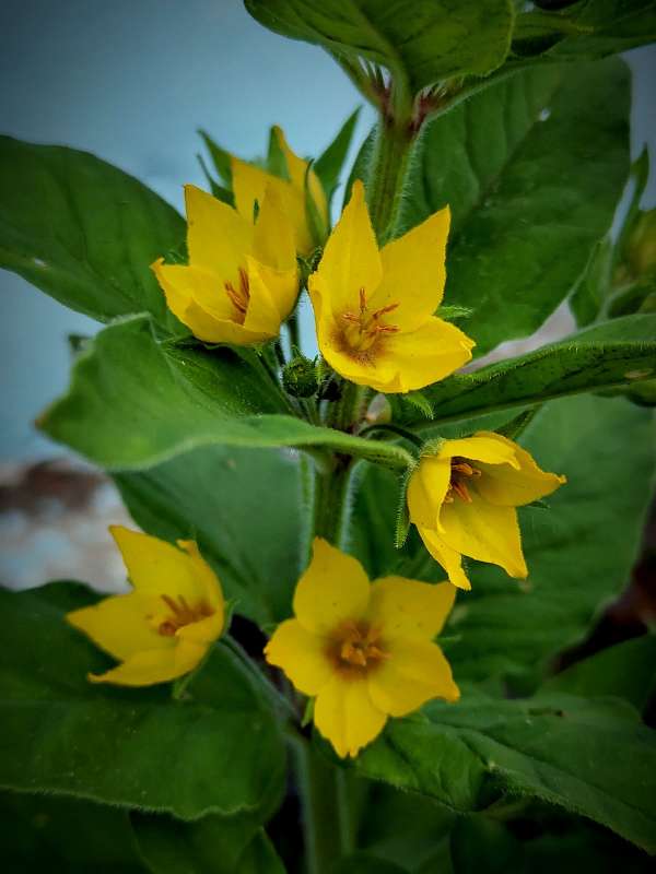 ������ ��������� ���������� ����� ������  �� PhotoGeek.ru #����� #����� ��������������