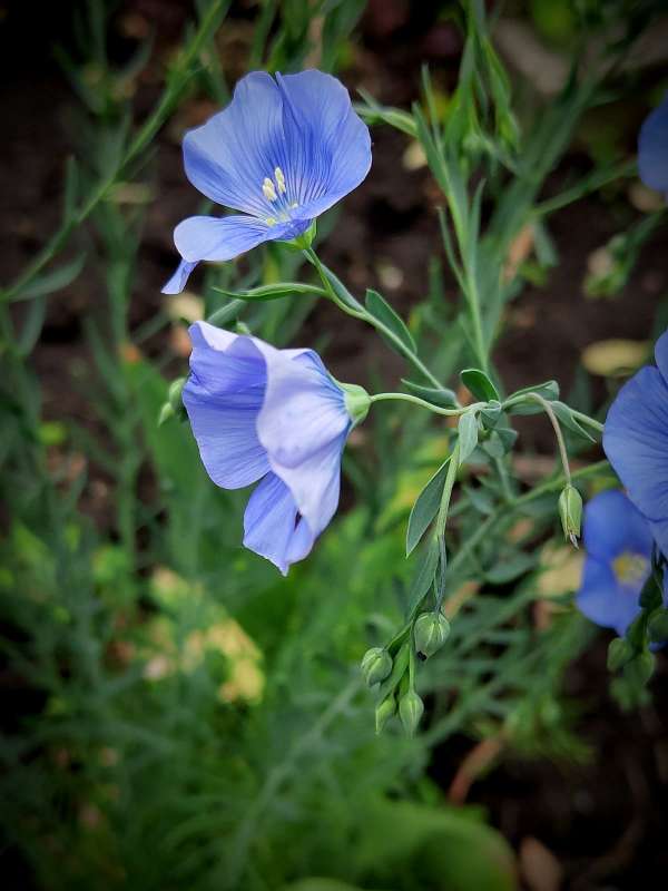 ������ ����� ����� ������  �� PhotoGeek.ru #����� #����� ��������������