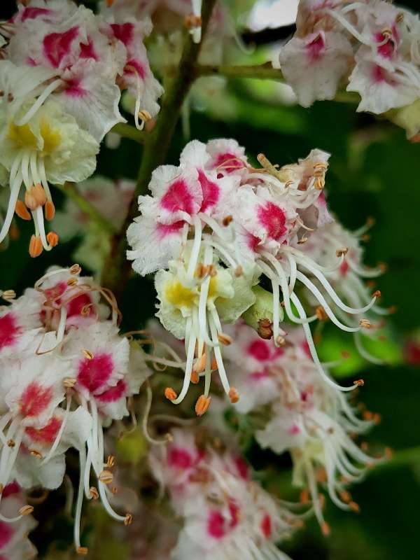 �������� ������ ����� ������  �� PhotoGeek.ru #����� #����� ��������������