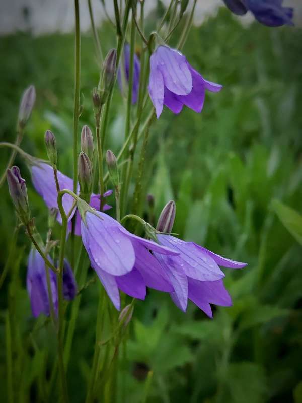 ����������� ������� ����� ������  �� PhotoGeek.ru #����� #����� ��������������