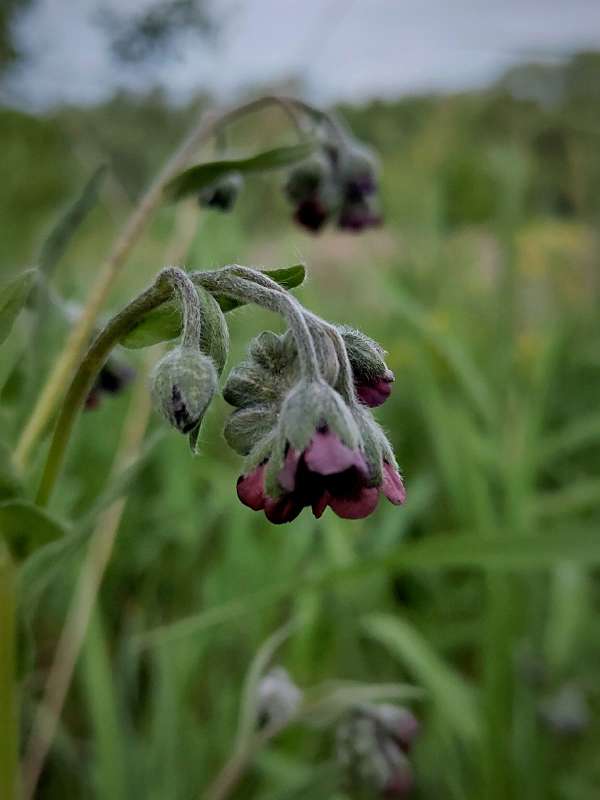 ������� �������� ����� ������  �� PhotoGeek.ru #����� #����� ��������������