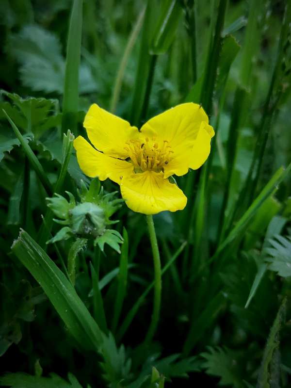 ������� ����� ����� ������  �� PhotoGeek.ru #����� #����� ��������������