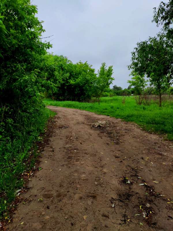 ���, �� ���������... ����� ������  �� PhotoGeek.ru #������ ��� �������