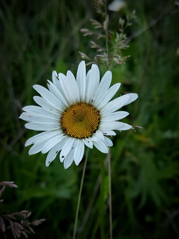 ������� - ������ ���� ����� ������  �� PhotoGeek.ru #����� #����� ��������������