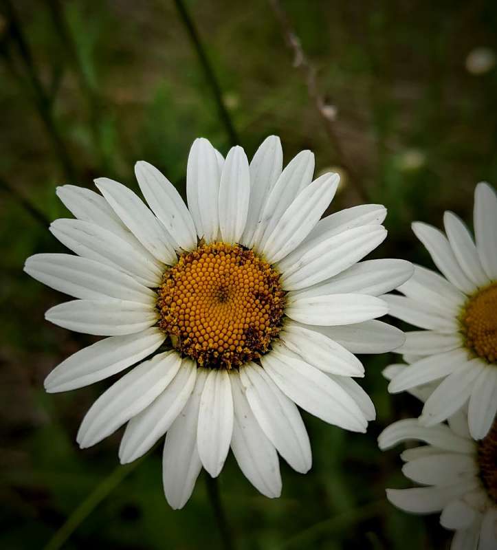 ������� ����� ������  �� PhotoGeek.ru #����� #����� ��������������