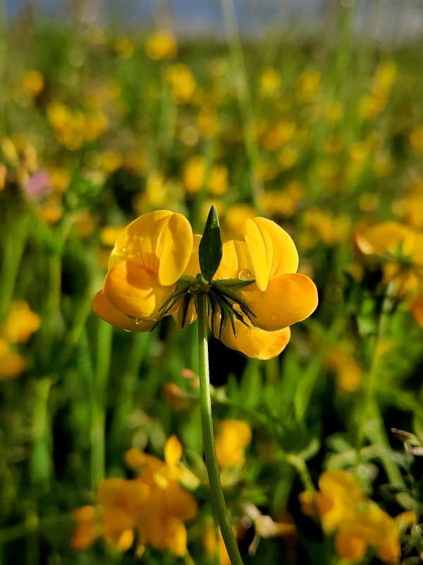 ������� ����� ������  �� PhotoGeek.ru #����� #����� ��������������