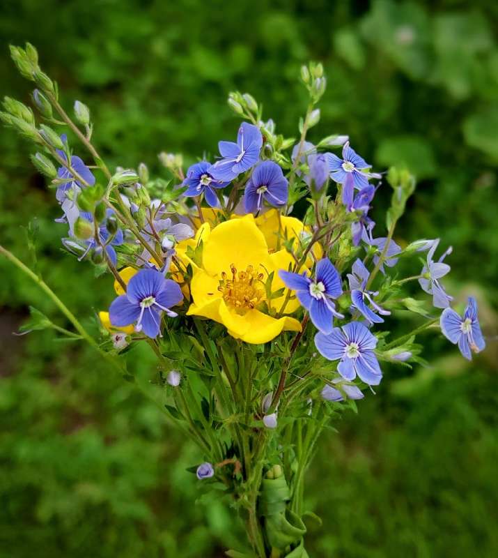 ������� ����� ������  �� PhotoGeek.ru #�����