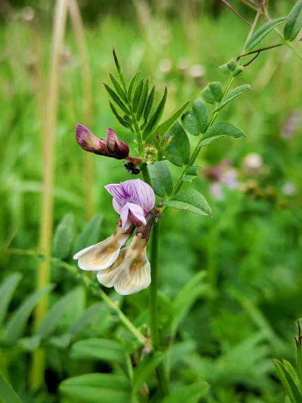 ������� ����� ����� ������  �� PhotoGeek.ru #����� #����� ��������������