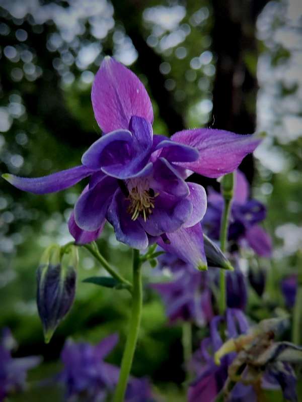 ��������� ����� ������  �� PhotoGeek.ru #����� #����� ��������������