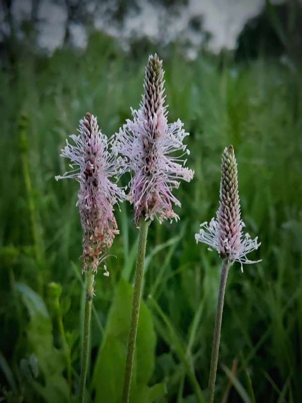 "������" ����������� ����� ������  �� PhotoGeek.ru #����� #����� ��������������