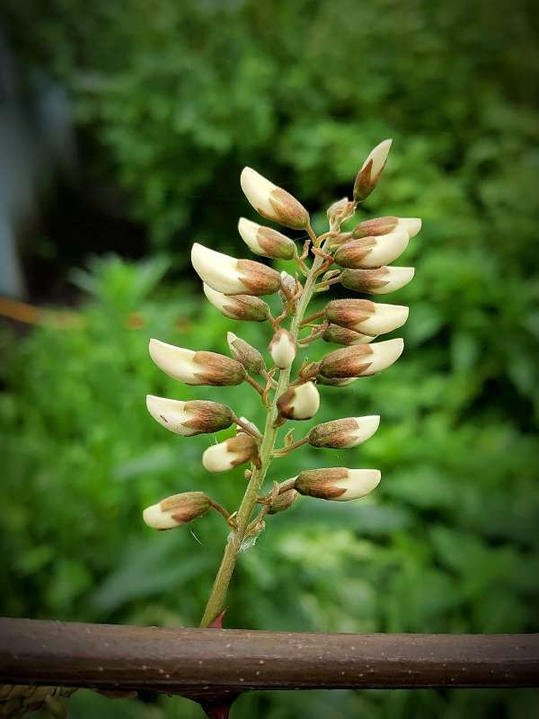 ������ ����� ������ ����� ������  �� PhotoGeek.ru #����� #����� ��������������