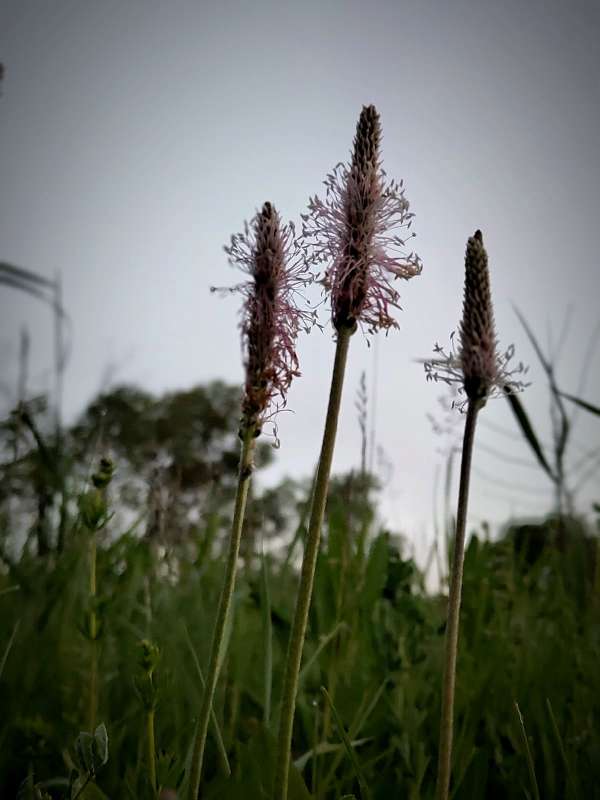 ���������� ����� ������  �� PhotoGeek.ru #����� ��������������