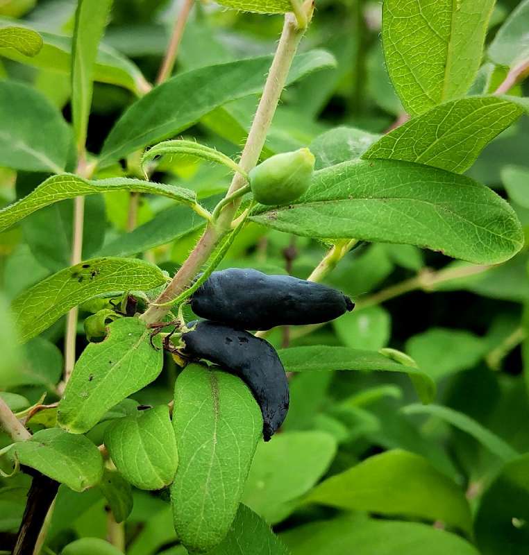 ��������� ������� ����� ������  �� PhotoGeek.ru #����� #����� ��������������