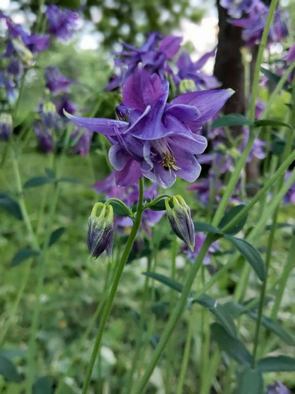 ����� ������� ����� ������  �� PhotoGeek.ru #����� #����� ��������������