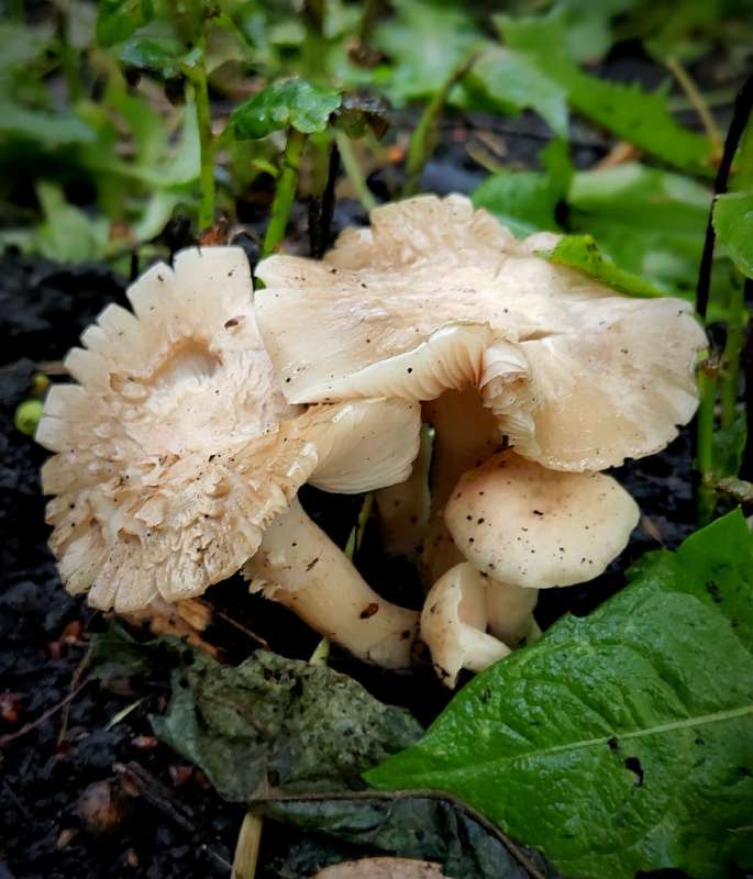 �������� ����� ������  �� PhotoGeek.ru #����� #����� ��������������