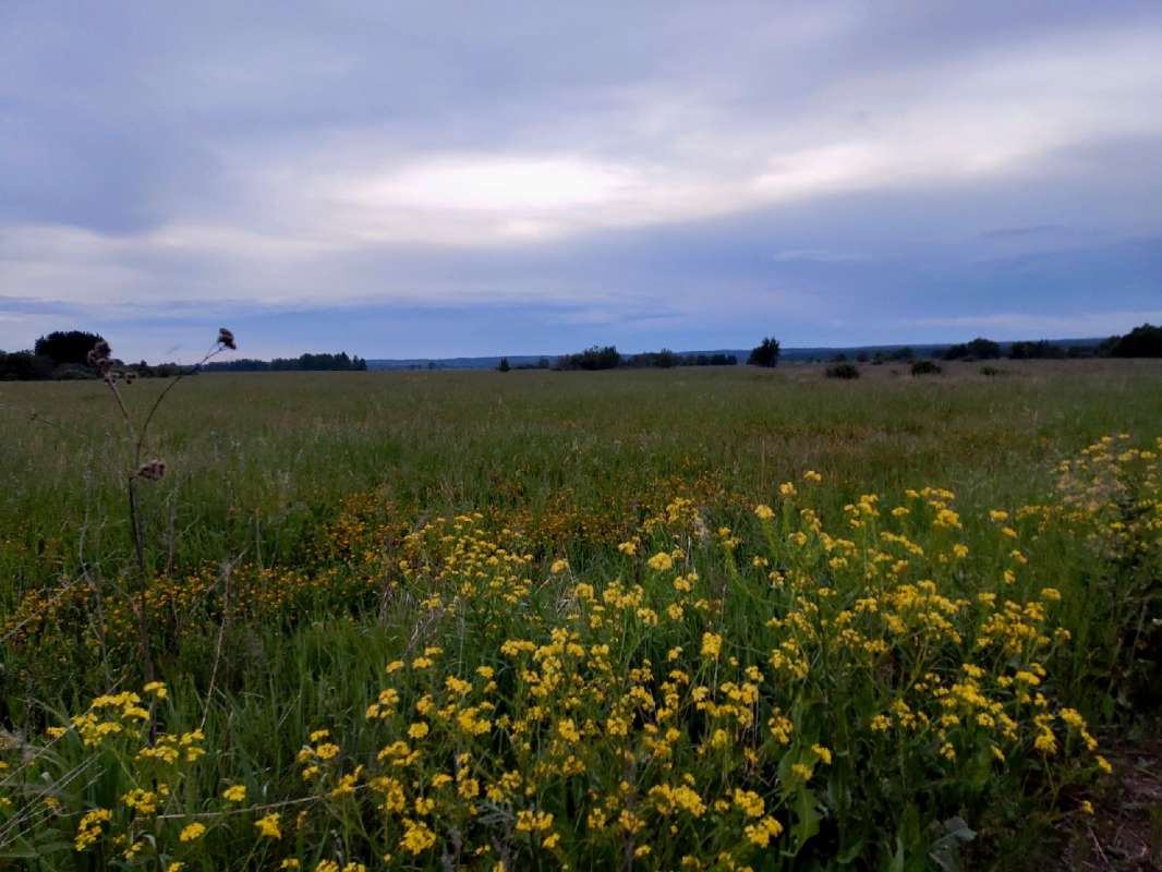 ����� ��� ����� ����� ������  �� PhotoGeek.ru #������ ��� �������