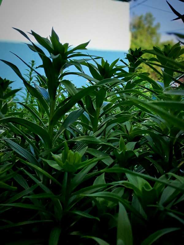 ������� ����� ����� ������  �� PhotoGeek.ru #������ ��� ������� #����� ��������������