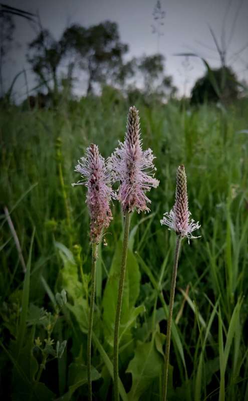 ���������� ����� ������  �� PhotoGeek.ru #�����