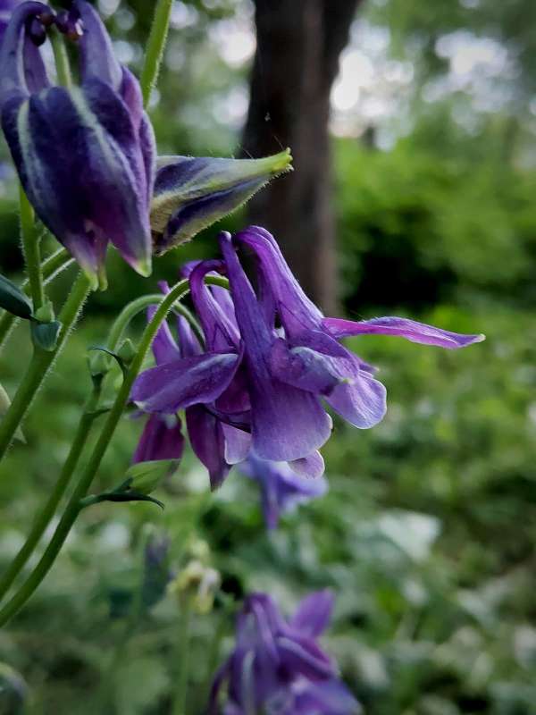 �������� �������� ��������� ����� ������  �� PhotoGeek.ru #����� #����� ��������������