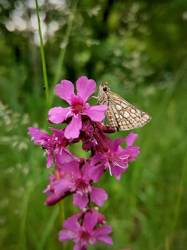 ������� - ���������� ����� ������  �� PhotoGeek.ru #�����