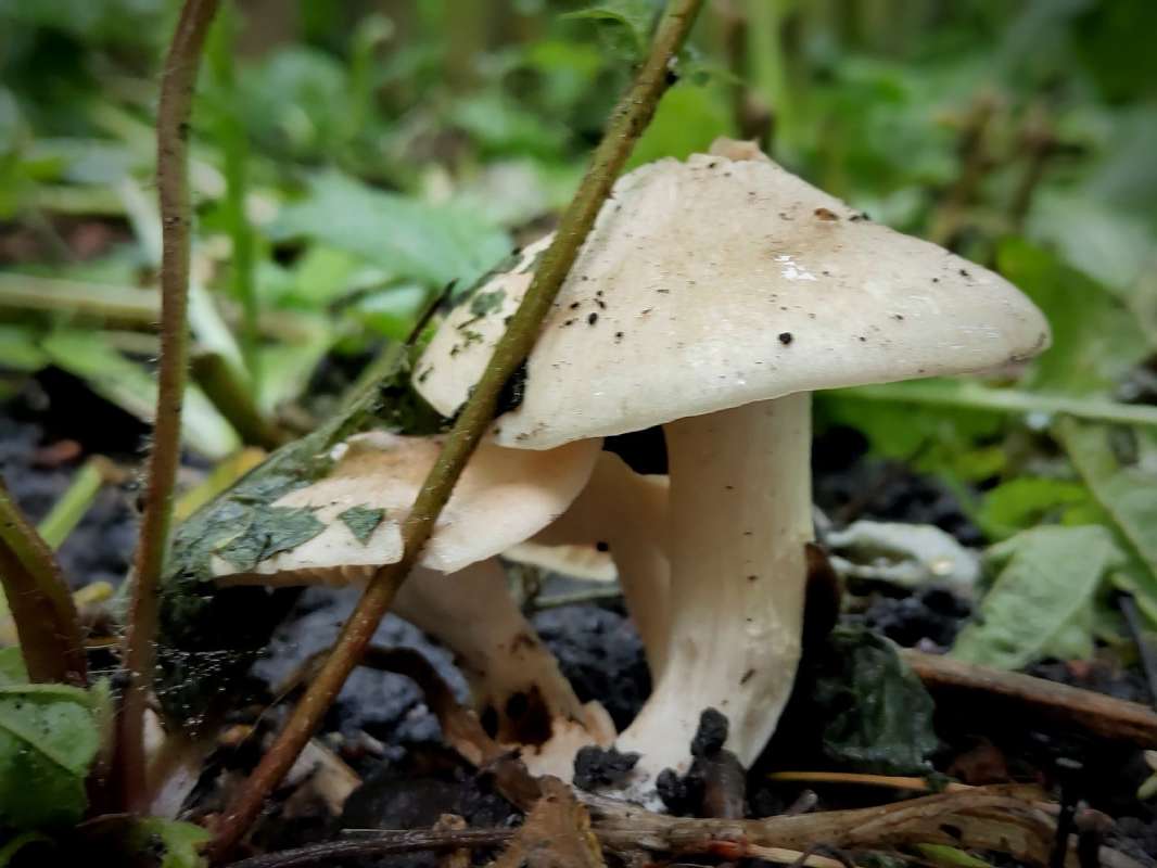 � ���� ������ ����� ������  �� PhotoGeek.ru #�����