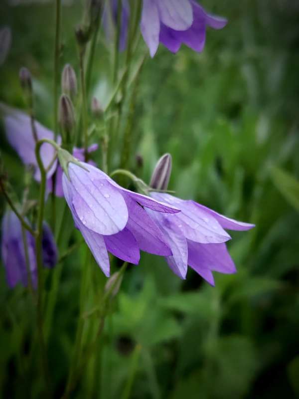 ������������ ����� ������  �� PhotoGeek.ru #�����