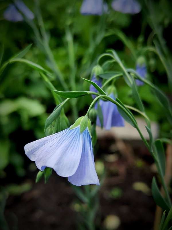 "������" ����� ������  �� PhotoGeek.ru #����� #����� ��������������