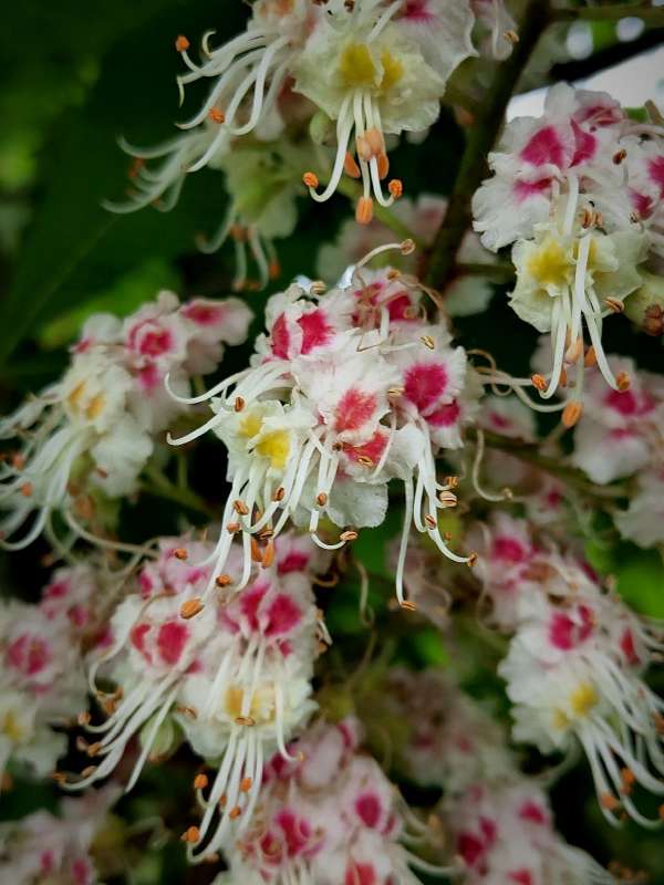 ������ ����� ������  �� PhotoGeek.ru #����� #����� ��������������