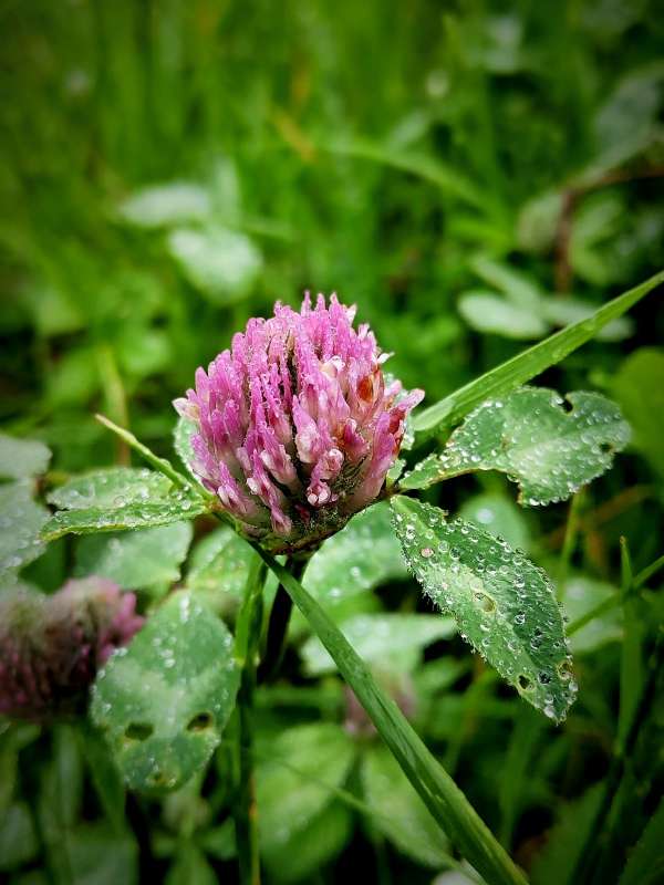 ������� ������ ����� ������  �� PhotoGeek.ru #����� #����� ��������������