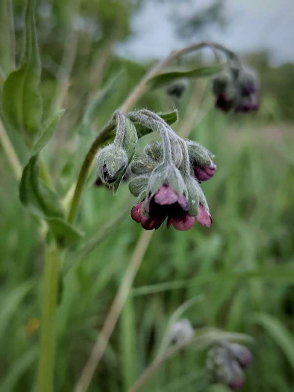 ������� ����� ����� ������  �� PhotoGeek.ru #����� #����� ��������������