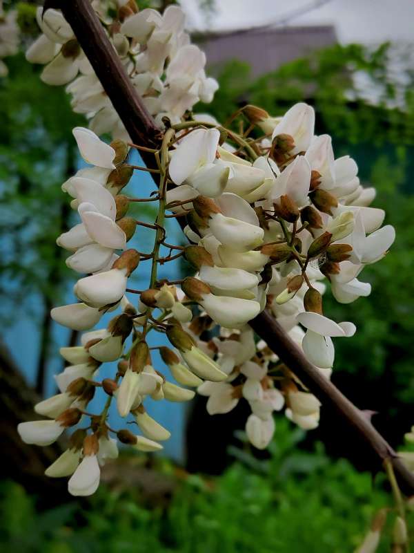 ����� ������ - �������� ����� ������  �� PhotoGeek.ru #�����