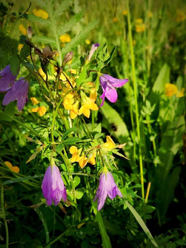 �� ���� ����� ������  �� PhotoGeek.ru #����� ��������������