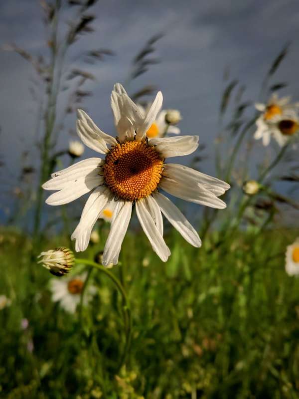 ������� ������� ����� ������  �� PhotoGeek.ru #����� #����� ��������������