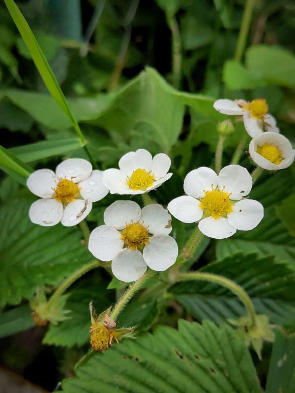 ������� ��������� ����� ������  �� PhotoGeek.ru #����� #����� ��������������