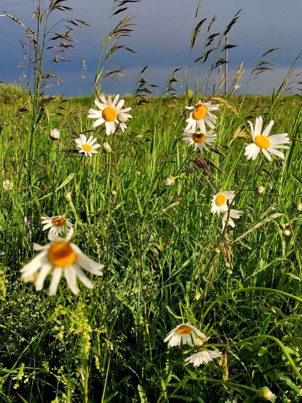 �� ���� ����� ������  �� PhotoGeek.ru #����� #����� ��������������