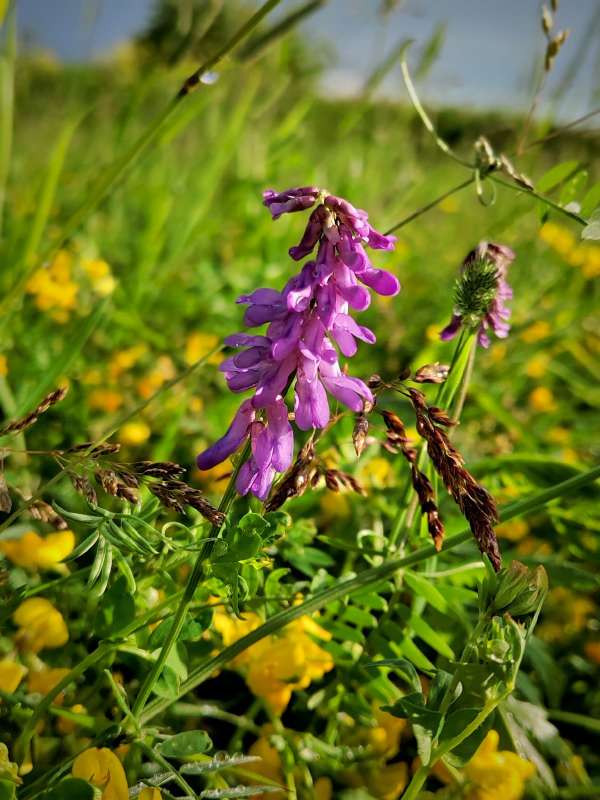 ������� ����� ����� ������  �� PhotoGeek.ru #����� #����� ��������������