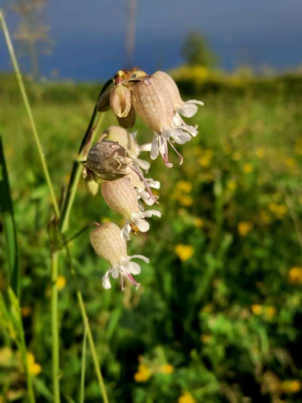 ����� �� ���� ����� ������  �� PhotoGeek.ru #����� #����� ��������������