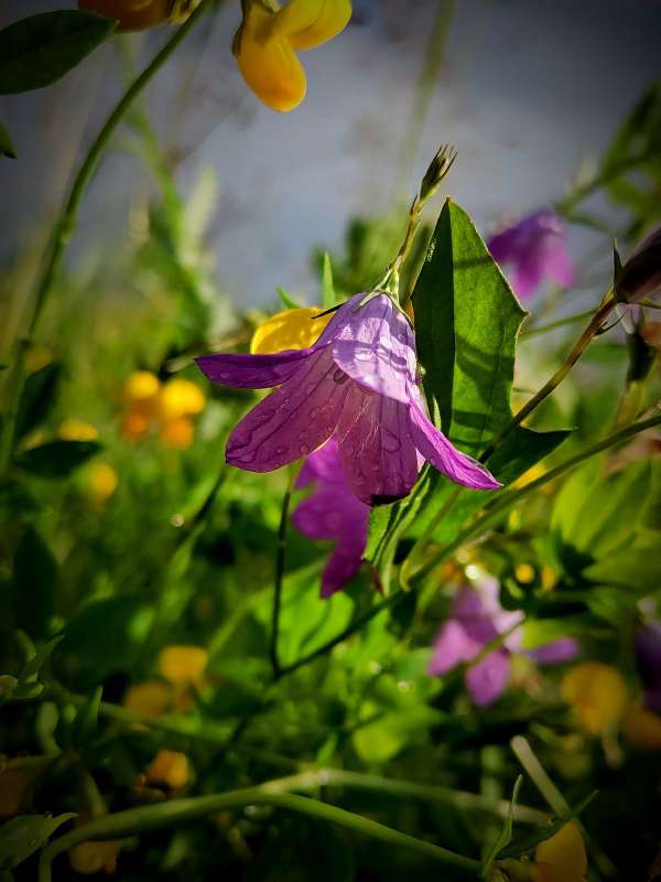 ����������� ����� ������  �� PhotoGeek.ru #����� #����� ��������������