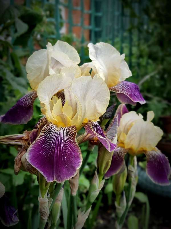 ������� ����� ����� ������  �� PhotoGeek.ru #����� #����� ��������������