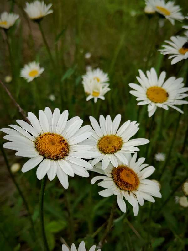 ������� ����� ������  �� PhotoGeek.ru #����� #����� ��������������