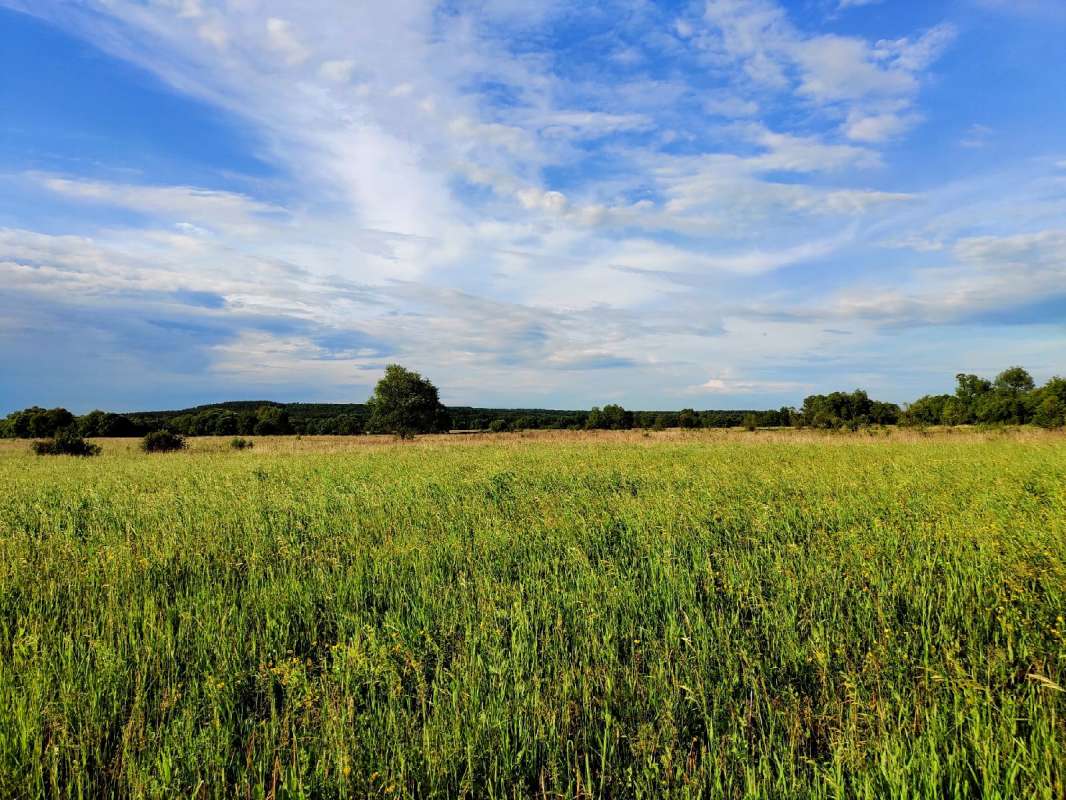 ��������� �������� ����� ������  �� PhotoGeek.ru #������ ��� �������