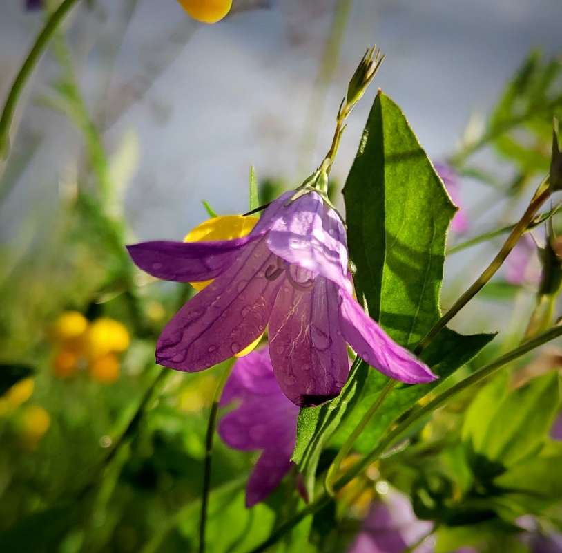 ������� ����������� ����� ������  �� PhotoGeek.ru #����� #����� ��������������